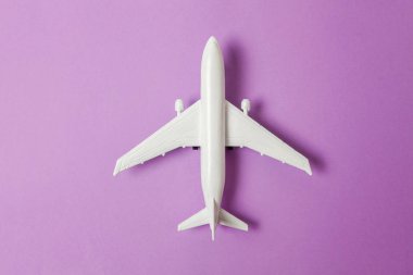 Sade bir şekilde yatıyordu tasarım minyatür oyuncak model uçak menekşe mor pastel renkli kağıt trendy arka plan üzerinde düz. Uçak tatil yaz hafta sonu deniz macera seyahat yolculuk bilet Tur kavramı ile seyahat