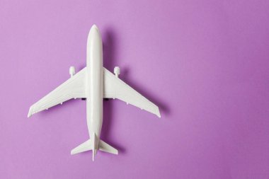 Sade bir şekilde yatıyordu tasarım minyatür oyuncak model uçak menekşe mor pastel renkli kağıt trendy arka plan üzerinde düz. Uçak tatil yaz hafta sonu deniz macera seyahat yolculuk bilet Tur kavramı ile seyahat