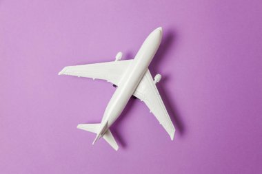 Sade bir şekilde yatıyordu tasarım minyatür oyuncak model uçak menekşe mor pastel renkli kağıt trendy arka plan üzerinde düz. Uçak tatil yaz hafta sonu deniz macera seyahat yolculuk bilet Tur kavramı ile seyahat