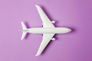 Sade bir şekilde yatıyordu tasarım minyatür oyuncak model uçak menekşe mor pastel renkli kağıt trendy arka plan üzerinde düz. Uçak tatil yaz hafta sonu deniz macera seyahat yolculuk bilet Tur kavramı ile seyahat