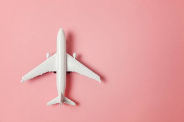 Sade bir şekilde yatıyordu tasarım minyatür oyuncak model uçak pembe pastel renkli kağıt trendy arka plan üzerinde düz. Uçak tatil yaz hafta sonu deniz macera seyahat yolculuk bilet Tur kavramı ile seyahat