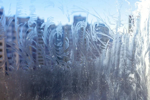 Frozen Winter Window Shiny Ice Frost Pattern Texture Christmas Wonder — Stock Photo, Image