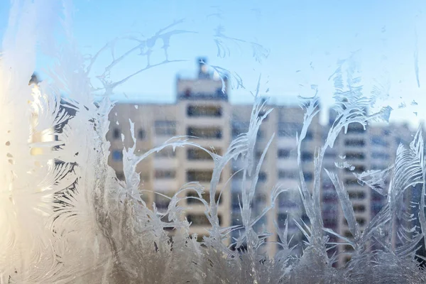 Gefrorenes Winterfenster Mit Glänzender Eisfrosch Struktur Weihnachtswunder Symbol Abstrakter Hintergrund — Stockfoto