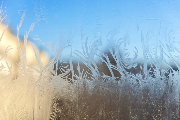 Frozen Winter Window Shiny Ice Frost Pattern Texture Christmas Wonder — Stock Photo, Image