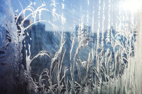 Frozen Winter Window Shiny Ice Frost Pattern Texture Christmas Wonder Stock Photo