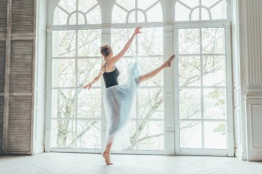 Genç Klasik Bale dansçısı kadın dans dersi. Mavi tutu etek beyaz ışık salonda büyük pencere yakınındaki güzel zarif balerin pratik bale pozisyonlar
