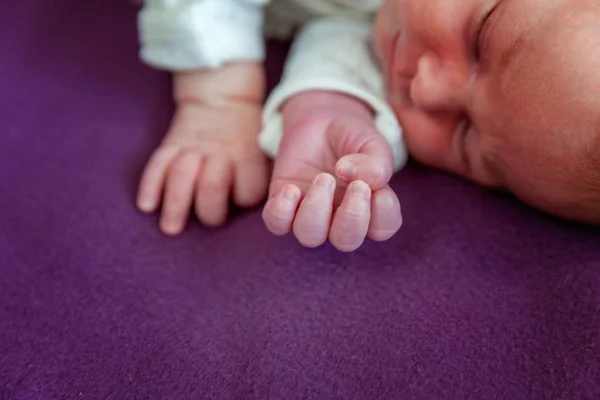 Huzurlu Tatlı Yeni Doğan Bebek Bebek Mor Paket Arka Planda — Stok fotoğraf