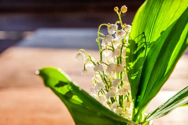 美しい花の花束の香りスズランや素朴な古いビンテージ木製の背景に柔らかい日光の下で 月ユリ 春や夏の庭 開花の生態自然の概念 — ストック写真