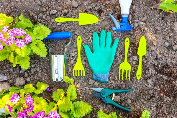 Gardening tools, shovel, spade, pruner, rake, glove, primrose flowers on soil background. Spring or summer in the garden, eco, nature, horticulture hobby concept background