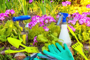 Yatak zemin üzerine çuha çiçeği çiçek Bahçe araçları, kürek, kürek, budayıcı, Komisyon, eldiven. Bahar ya da yaz aylarında bahçe, çevre, Doğa, Bahçe bitkileri hobi kavramı