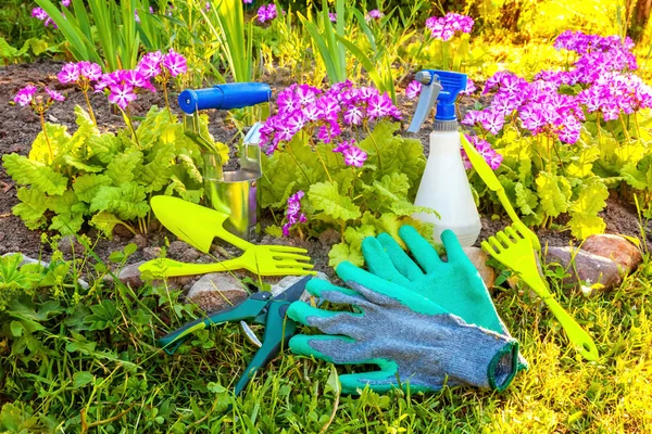Gardening tools, shovel, spade, pruner, rake, glove, primrose flower on bed background. Spring or summer in the garden, eco, nature, horticulture hobby concept