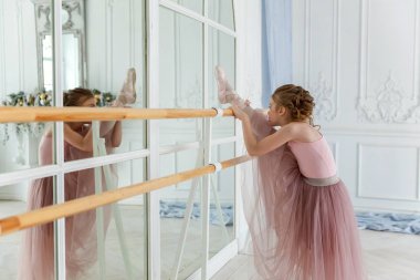 Dans sınıfındaki genç klasik balerin kız. Güzel, zarif balerin, bale pozisyonu pembe etekli, beyaz ışıklı salonda büyük aynanın yanında.