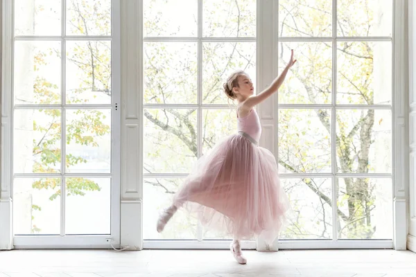 舞蹈课上年轻的古典芭蕾舞女 美丽优雅的芭蕾舞演员穿着粉红短裙在白色灯堂的大窗户边练习芭蕾舞姿势 — 图库照片