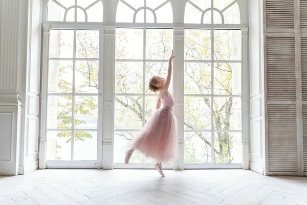 Jeune Danseuse Classique Cours Danse Belle Ballerine Gracieuse Pratique Des — Photo