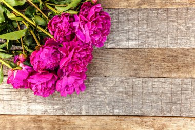 Taze çiçek açan ile çerçeve çiçek pembe pembe şakayık çiçekleri buket eski püskü rustik ahşap arka plan üzerinde boşaltmak. Bahar ya da yaz aylarında bahçe, Eko, renkli doğa, ekoloji kavramı