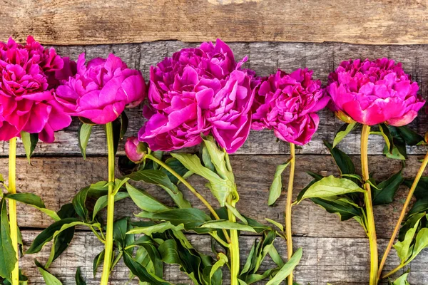 Cadre Floral Avec Bouquet Fleurs Pivoine Magenta Rose Fleurs Fraîches — Photo