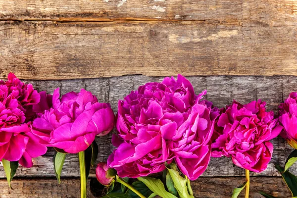 Cadre Floral Avec Bouquet Fleurs Pivoine Magenta Rose Fleurs Fraîches — Photo