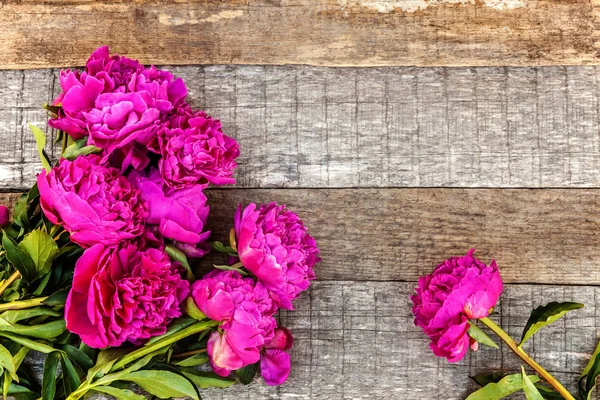 허름한 소박한 Copyspace 프레임 신선한 마젠타 꽃다발 다채로운 개념에 — 스톡 사진