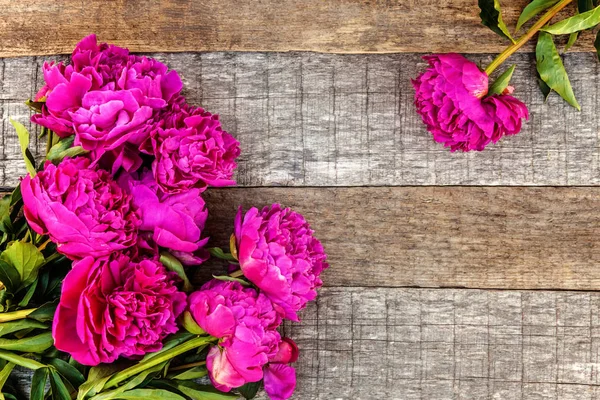 허름한 소박한 Copyspace 프레임 신선한 마젠타 꽃다발 다채로운 개념에 — 스톡 사진