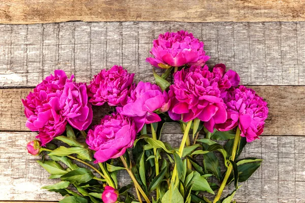 Floral Frame Fresh Blooming Pink Magenta Peony Flowers Bouquet Old — Stock Photo, Image