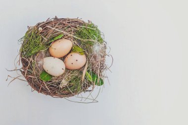 Rustik Beyaz ahşap zemin üzerinde moss ile yuvadaki yumurta Paskalya dekorasyon. Paskalya kavramı. Düz yatıyordu üstten görünüm kopya alanı. Bahar tebrik kartı