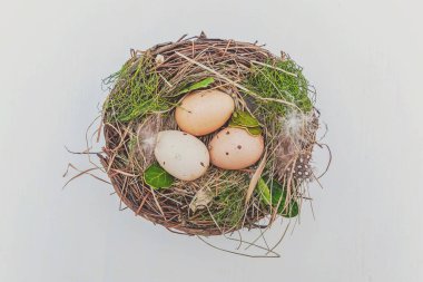 Rustik Beyaz ahşap zemin üzerinde moss ile yuvadaki yumurta Paskalya dekorasyon. Paskalya kavramı. Düz yatıyordu üstten görünüm kopya alanı. Bahar tebrik kartı