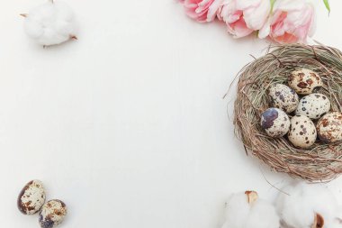 Bahar tebrik kartı. Paskalya yumurtaları içinde iç içe pamuk ve pembe taze Lale çiçek buketi beyaz rustik ahşap zemin üzerinde. Paskalya kavramı. Düz yatıyordu üstten görünüm kopya alanı. Bahar çiçekler