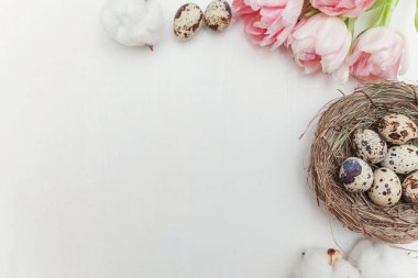 Bahar tebrik kartı. Paskalya yumurtaları içinde iç içe pamuk ve pembe taze Lale çiçek buketi beyaz rustik ahşap zemin üzerinde. Paskalya kavramı. Düz yatıyordu üstten görünüm kopya alanı. Bahar çiçekler