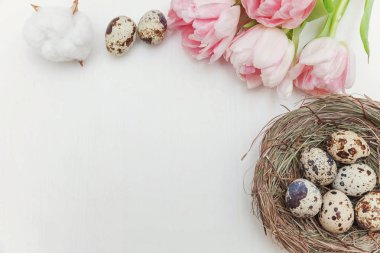 Bahar tebrik kartı. Paskalya yumurtaları içinde iç içe pamuk ve pembe taze Lale çiçek buketi beyaz rustik ahşap zemin üzerinde. Paskalya kavramı. Düz yatıyordu üstten görünüm kopya alanı. Bahar çiçekler