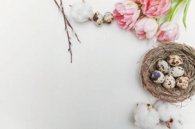 Bahar tebrik kartı. Paskalya yumurtaları içinde iç içe pamuk söğüt dalı ve pembe taze Lale çiçek buketi beyaz rustik ahşap zemin üzerinde. Paskalya kavramı. Düz yatıyordu üstten görünüm kopya alanı. Bahar çiçekler