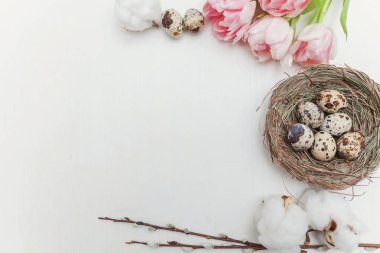 Bahar tebrik kartı. Paskalya yumurtaları içinde iç içe pamuk söğüt dalı ve pembe taze Lale çiçek buketi beyaz rustik ahşap zemin üzerinde. Paskalya kavramı. Düz yatıyordu üstten görünüm kopya alanı. Bahar çiçekler