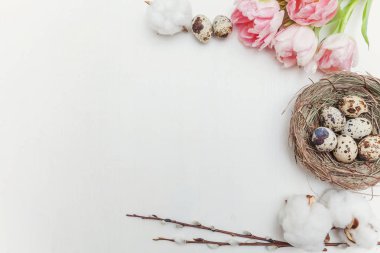 Bahar tebrik kartı. Paskalya yumurtaları içinde iç içe pamuk söğüt dalı ve pembe taze Lale çiçek buketi beyaz rustik ahşap zemin üzerinde. Paskalya kavramı. Düz yatıyordu üstten görünüm kopya alanı. Bahar çiçekler