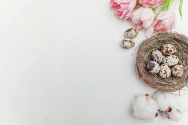 Bahar tebrik kartı. Paskalya yumurtaları içinde iç içe pamuk ve pembe taze Lale çiçek buketi beyaz rustik ahşap zemin üzerinde. Paskalya kavramı. Düz yatıyordu üstten görünüm kopya alanı. Bahar çiçekler