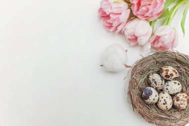 Bahar tebrik kartı. Paskalya yumurtaları içinde iç içe pamuk ve pembe taze Lale çiçek buketi beyaz rustik ahşap zemin üzerinde. Paskalya kavramı. Düz yatıyordu üstten görünüm kopya alanı. Bahar çiçekler