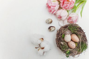 Bahar tebrik kartı. Paskalya yumurtaları içinde iç içe pamuk ve pembe taze Lale çiçek buketi beyaz rustik ahşap zemin üzerinde. Paskalya kavramı. Düz yatıyordu üstten görünüm kopya alanı. Bahar çiçekler