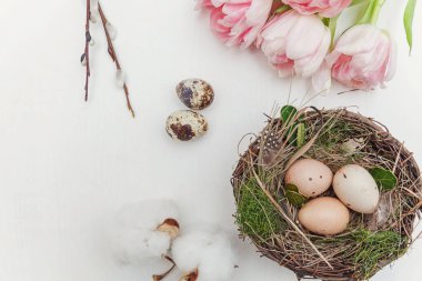Bahar tebrik kartı. Paskalya yumurtaları içinde iç içe pamuk söğüt dalı ve pembe taze Lale çiçek buketi beyaz rustik ahşap zemin üzerinde. Paskalya kavramı. Düz yatıyordu üstten görünüm kopya alanı. Bahar çiçekler