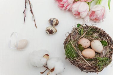 Bahar tebrik kartı. Paskalya yumurtaları içinde iç içe pamuk söğüt dalı ve pembe taze Lale çiçek buketi beyaz rustik ahşap zemin üzerinde. Paskalya kavramı. Düz yatıyordu üstten görünüm kopya alanı. Bahar çiçekler