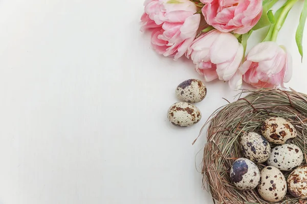 Bahar tebrik kartı. Paskalya yumurtaları içinde iç içe pamuk ve pembe taze Lale çiçek buketi beyaz rustik ahşap zemin üzerinde. Paskalya kavramı. Düz yatıyordu üstten görünüm kopya alanı. Bahar çiçekler