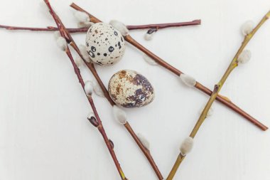 Bahar tebrik kartı. Paskalya yumurtaları ve Söğüt dalı rustik Beyaz ahşap zemin üzerinde. Paskalya kavramı. Düz yatıyordu üstten görünüm kopya alanı