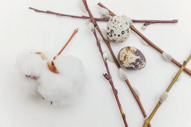 Bahar tebrik kartı. Paskalya yumurta pamuk ve Söğüt dalına rustik Beyaz ahşap arka plan. Paskalya kavramı. Düz yatıyordu üstten görünüm kopya alanı