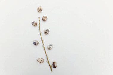 Bahar tebrik kartı. Paskalya yumurtaları söğüt dalı ve pembe taze Lale çiçek buketi beyaz rustik ahşap zemin üzerinde pamuk. Paskalya kavramı. Düz yatıyordu üstten görünüm kopya alanı. Bahar çiçekler