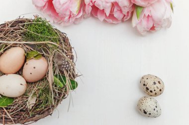 Bahar tebrik kartı. Paskalya yumurta yuva ve pembe taze Lale çiçek buketi beyaz rustik ahşap zemin üzerinde. Paskalya kavramı. Düz yatıyordu üstten görünüm kopya alanı. Bahar çiçekler