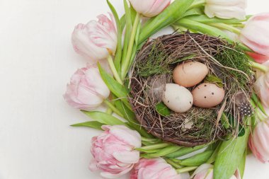 Bahar tebrik kartı. Paskalya yumurta yuva ve pembe taze Lale çiçek buketi beyaz rustik ahşap zemin üzerinde. Paskalya kavramı. Düz yatıyordu üstten görünüm kopya alanı. Bahar çiçekler