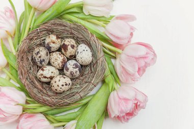 Bahar tebrik kartı. Paskalya yumurta yuva ve pembe taze Lale çiçek buketi beyaz rustik ahşap zemin üzerinde. Paskalya kavramı. Düz yatıyordu üstten görünüm kopya alanı. Bahar çiçekler