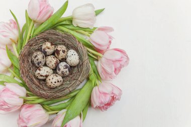 Bahar tebrik kartı. Paskalya yumurta yuva ve pembe taze Lale çiçek buketi beyaz rustik ahşap zemin üzerinde. Paskalya kavramı. Düz yatıyordu üstten görünüm kopya alanı. Bahar çiçekler