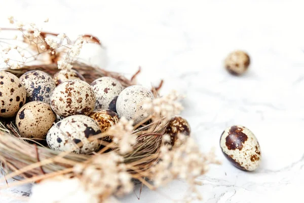 Decoración Pascua Con Huevo Nido Algodón Sobre Fondo Mármol Blanco — Foto de Stock