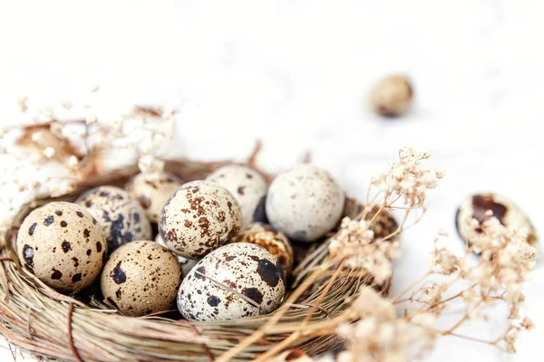 Dekoracje Wielkanocne Jajkiem Gniazdo Bawełna Białym Tle Marmurowych Koncepcja Wielkanoc — Zdjęcie stockowe