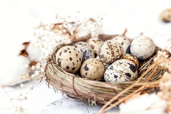 Easter Decoration Egg Nest Cotton White Marble Background Easter Concept — Stock Photo, Image