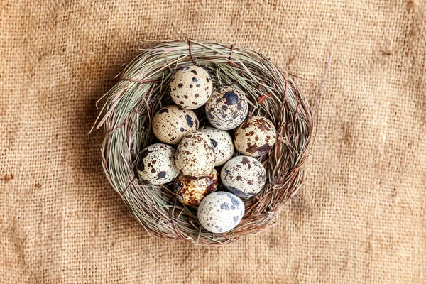 Easter Decoration Egg Nest Brown Rustic Linen Canvas Background Easter — Stock Photo, Image