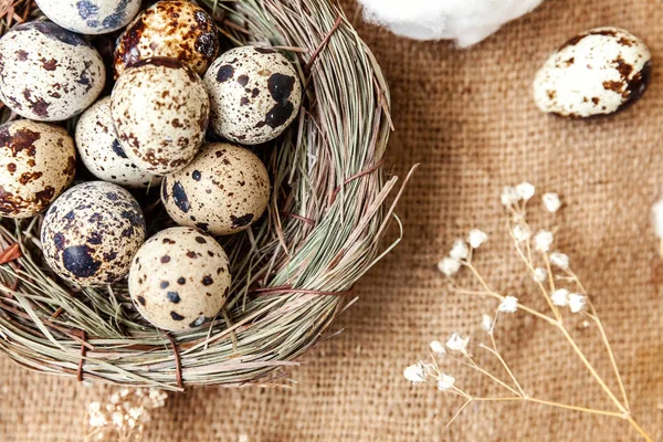 Pasen Decoratie Met Het Nest Katoen Bruin Rustiek Linnen Doek — Stockfoto